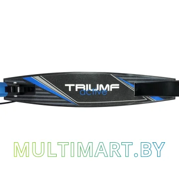 Самокат Triumf Active Al02-205 (синий) картинка 5